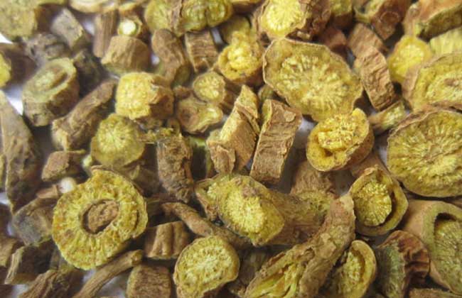黄芩的功效与作用,具有清热燥湿的功效-沧州明洁药用包装有限公司