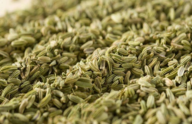 小茴香的功效与作用,有缓解痛经的功效