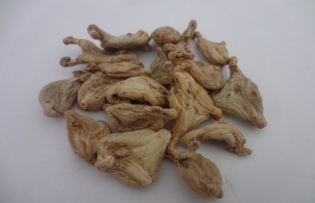 白及的功效与作用,具有抗菌止血的功效-沧州明洁药用